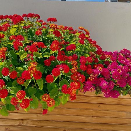 Elegant Apartment In The Heart Of Heraklion 외부 사진