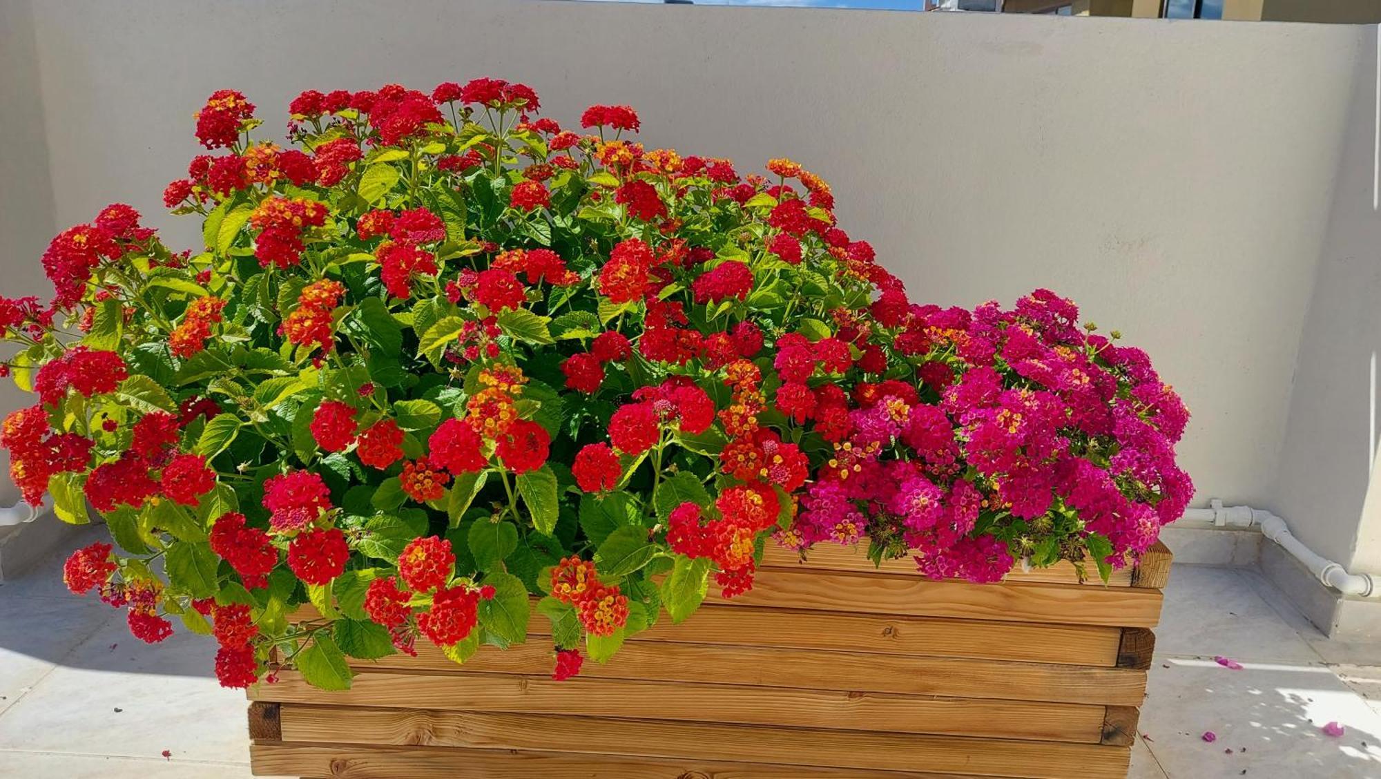 Elegant Apartment In The Heart Of Heraklion 외부 사진